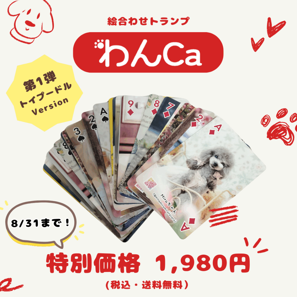 特別価格1,980円(税込・送料無料)