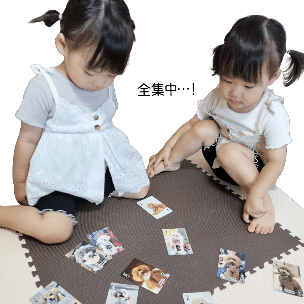 わんCaで遊んでいるときの光景01