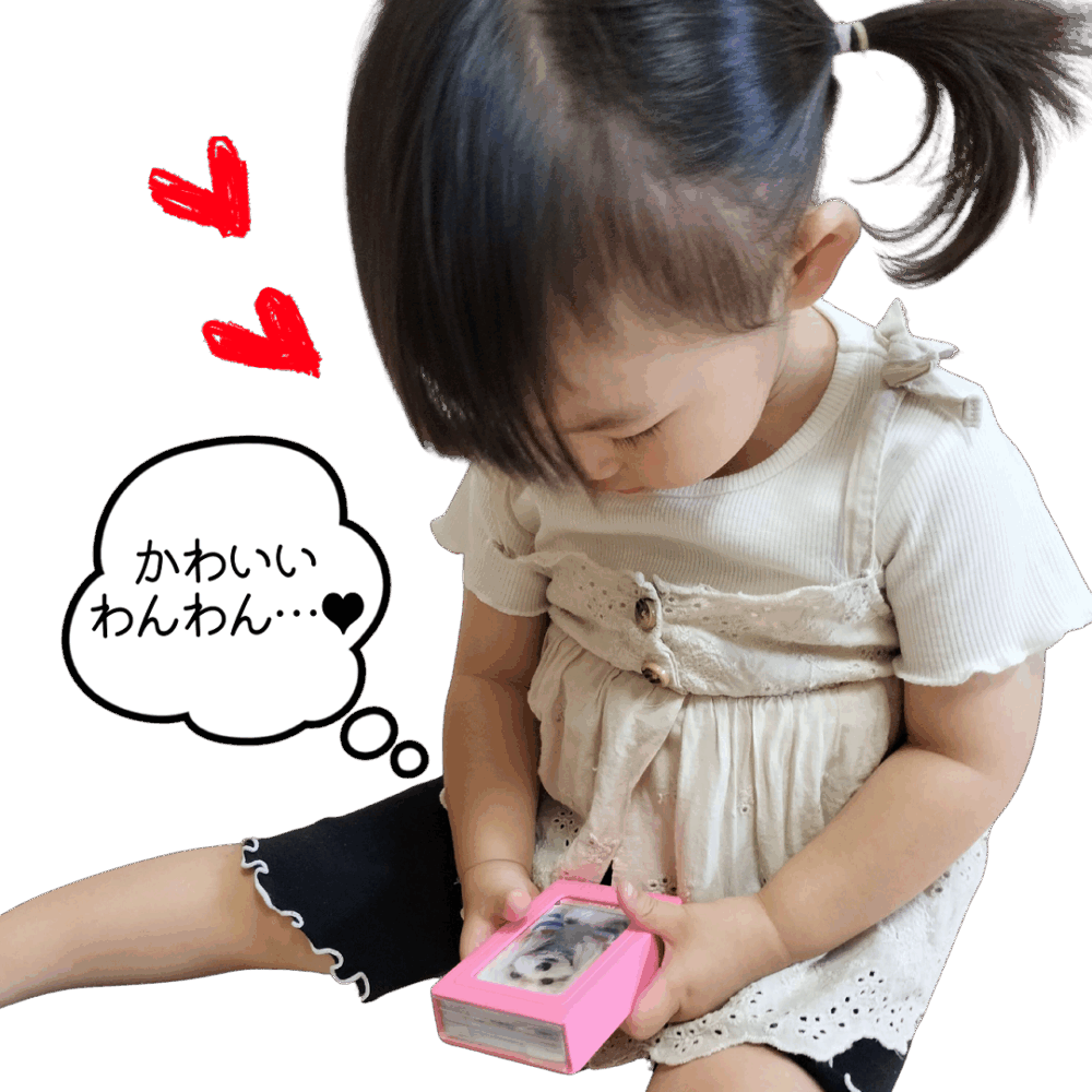 わんCaで遊んでいるときの光景04
